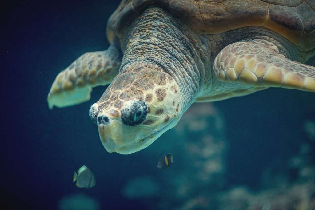 Das Meeresmuseum Stralsund Mama im Ländle