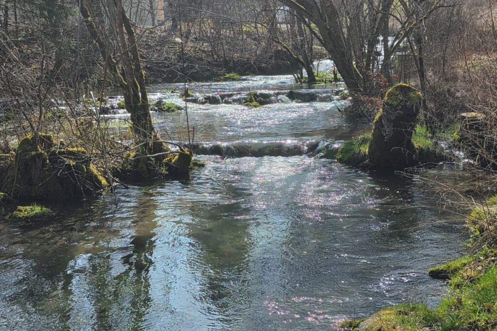 Ausflug zum Filsursprung