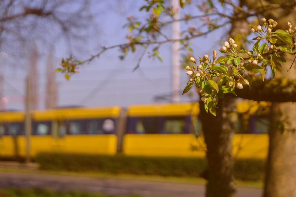 Das Stuttgarter Straßenbahnmuseum