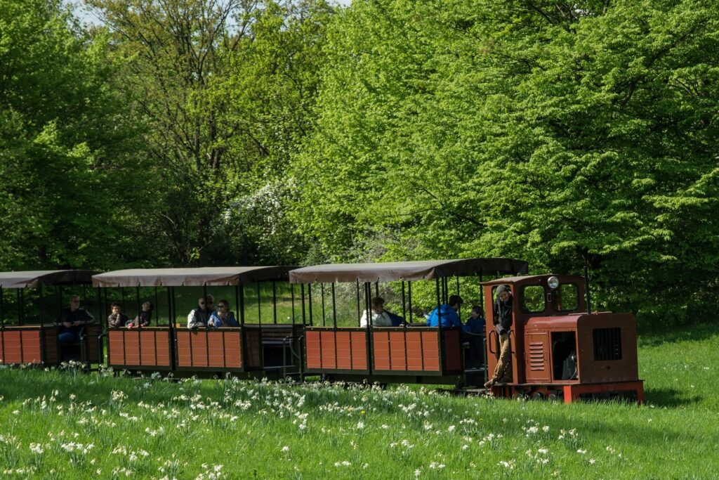 Dampfspektakel im Landschaftspark